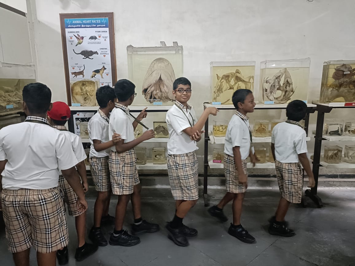 WhatsApp-Image-2023-10-27-at-7.30.49-PM-1